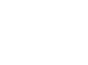 Perruche